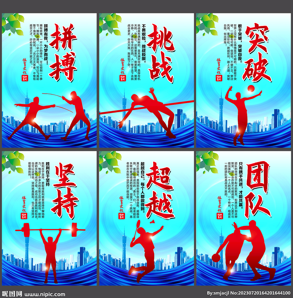 入现代体育