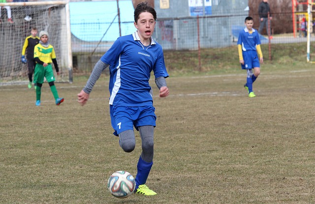 的秘密武器 的秘密武器