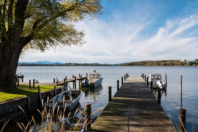 机构分析 机构分析