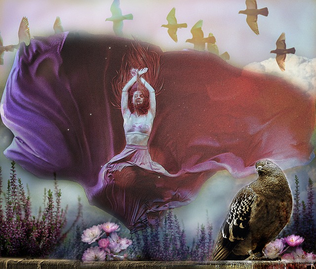 护与经济发 护与经济发