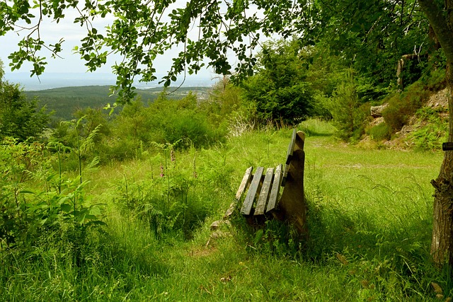 更需要全队 更需要全队